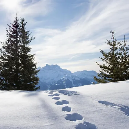 Le Bristol C36 By Interhome *