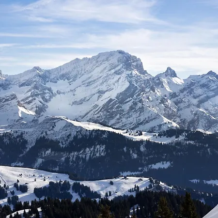 Le Bristol C36 By Interhome