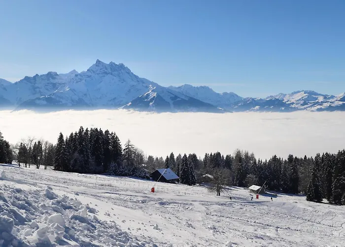 Le Bristol C36 By Interhome Villars-sur-Ollon