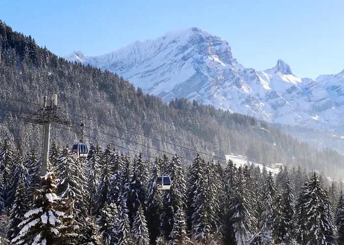 Apartmán Le Bristol C36 By Interhome Villars-sur-Ollon