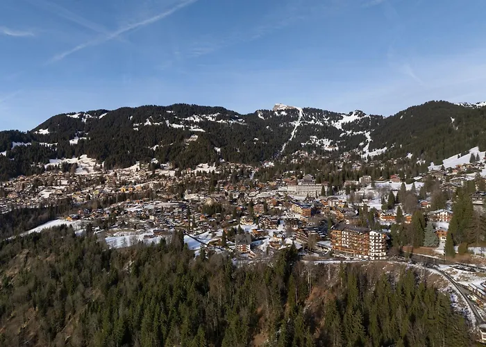 Le Bristol C36 By Interhome *