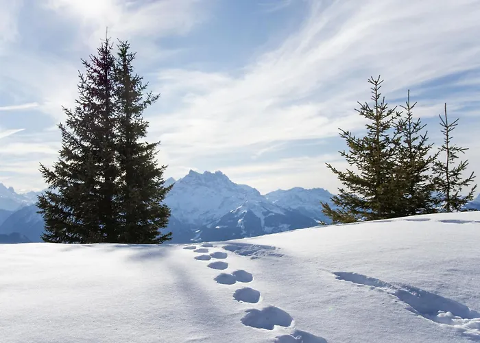 Le Bristol C36 By Interhome *