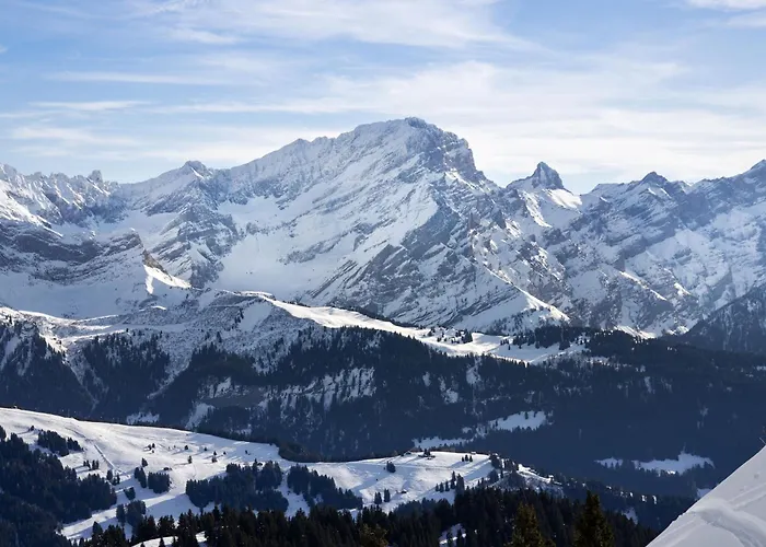 Le Bristol C36 By Interhome