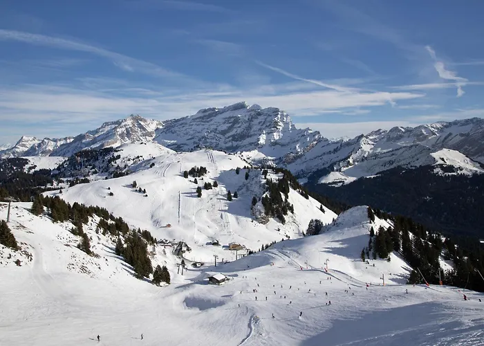 Le Bristol C36 By Interhome Apartmán Villars-sur-Ollon